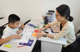 Understanding Primary School Leaving Examination Education