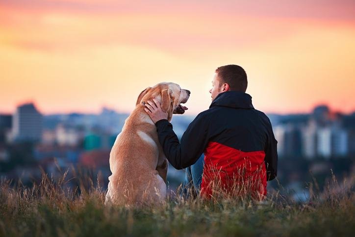 Dog training tips for good behavior.